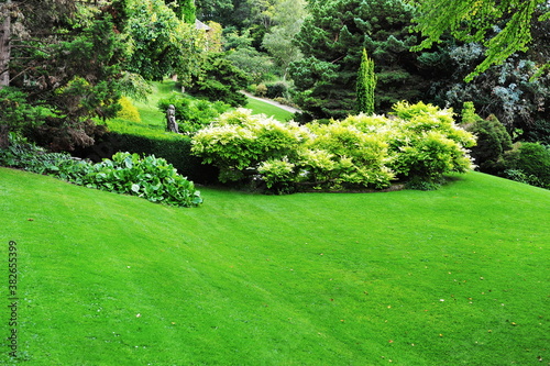green grass lawn in a garden