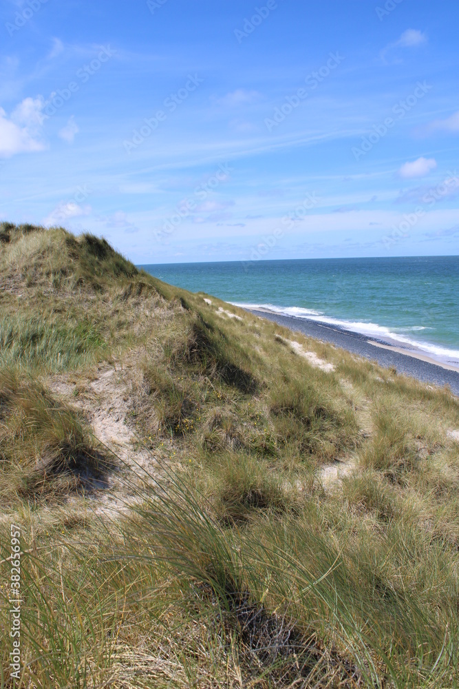 Being isolated in the dunes at Ellenbogen in the North of Sylt close to the village of List Being isolated in the dunes at Ellenbogen in the North of Sylt close to the village of List