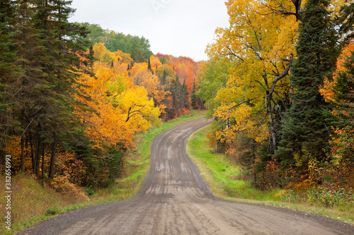 Fototapeta Naklejka Na Ścianę i Meble -  Trees in fall color along a dirt road in northern Minnesota