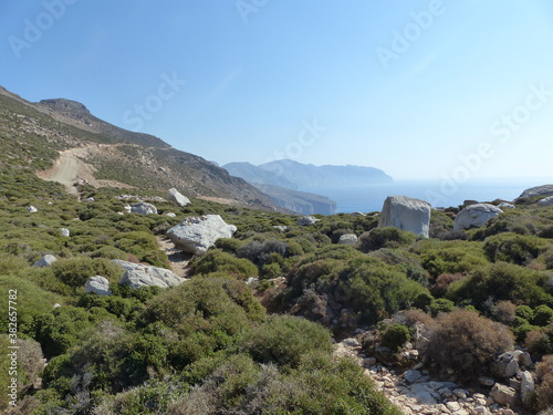 Macchia mediterranea ad Amorgos nelle isole clicladi in Grecia.