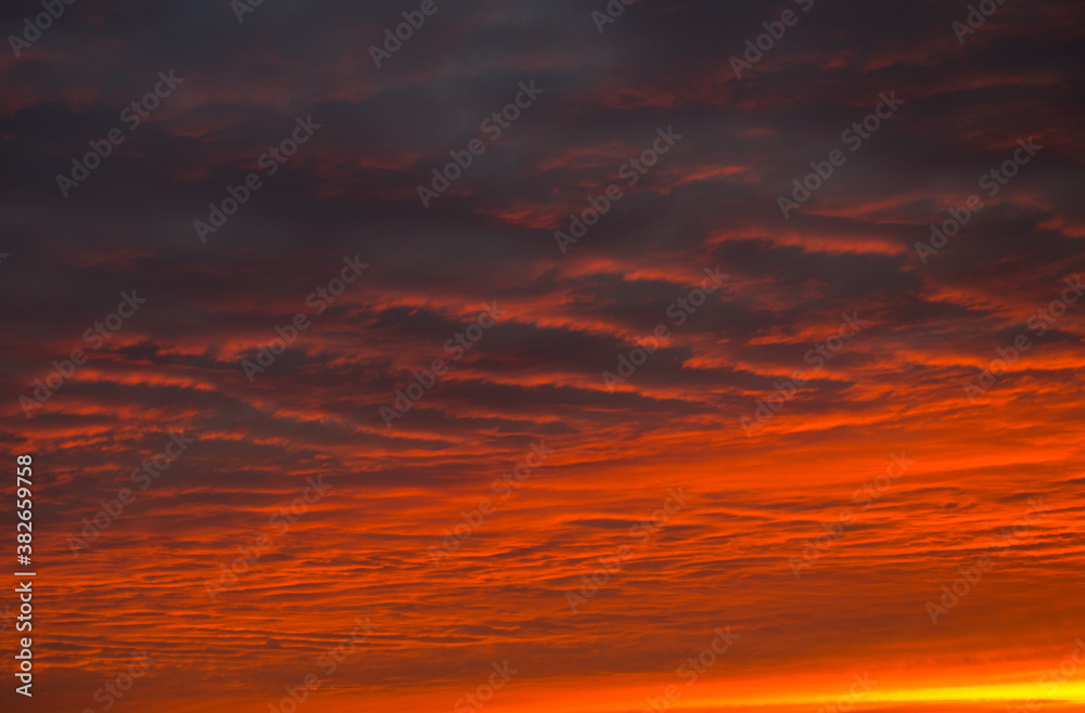 Red clouds in the sunset sky (background)
