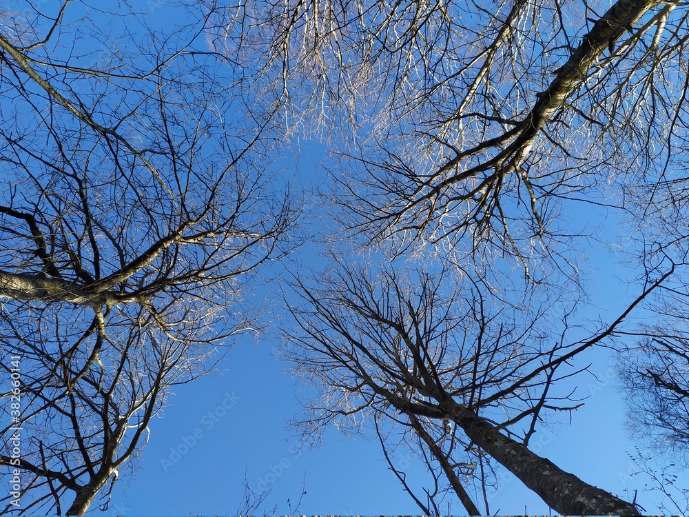 Obraz premium Sky meadow