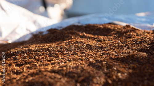 Rooibos tea production