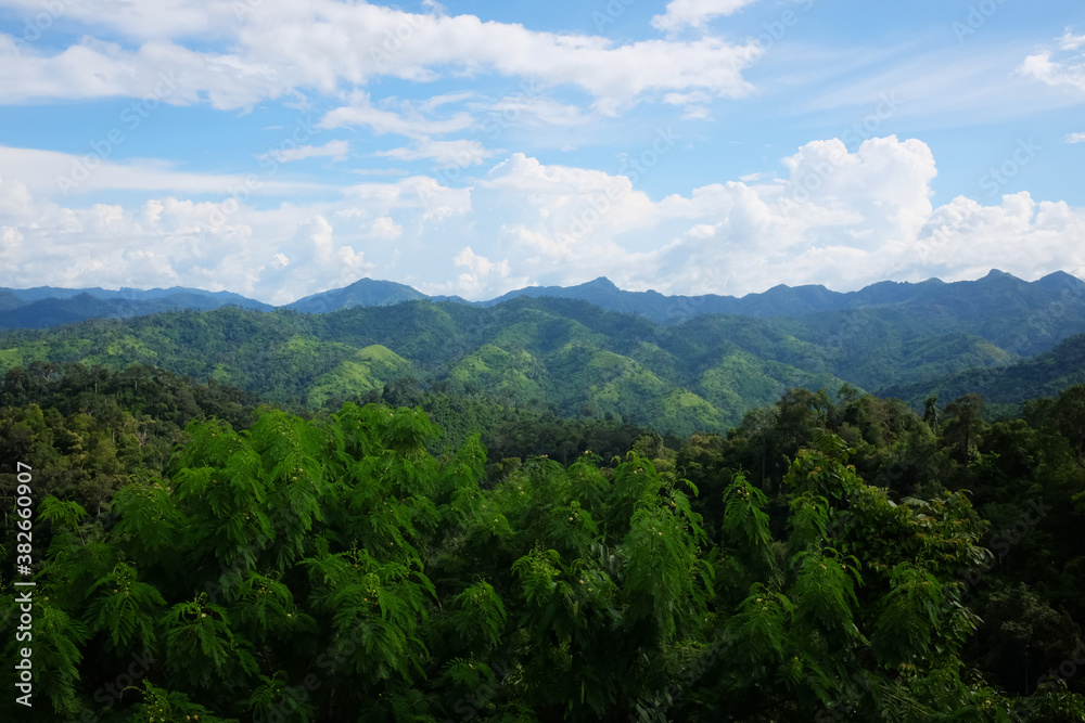 Greenery of rainforest on the valley mountain with cloud on blue sky in rainy season