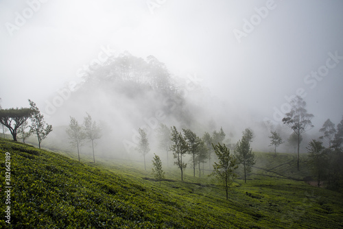 Sri Lanka Tee © Timm