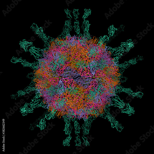 Canvas-taulu Structure of human poliovirus (serotype 1), 3D cartoon model, black background