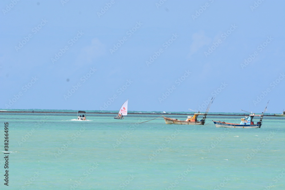 Obraz premium maceio
