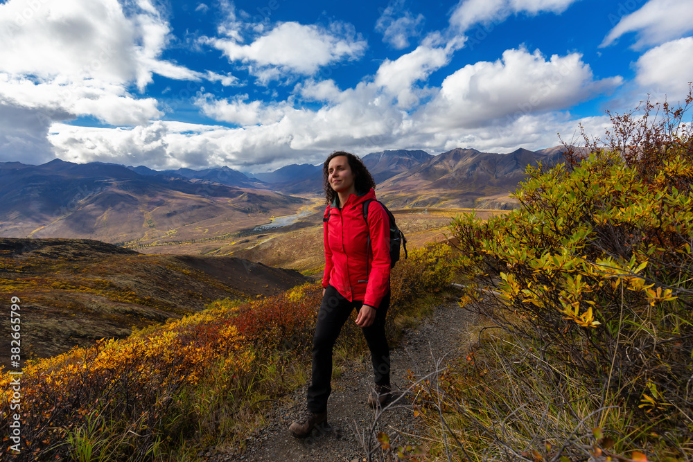 Scenic View of Woman Hiking on a Cloudy Fall Day in Canadian Nature. Taken in Tombstone Territorial Park, Yukon, Canada. Scenic View of Woman Hiking on a Cloudy Fall Day in Canadian Nature. Taken in Tombstone Territorial Park, Yukon, Canada.
