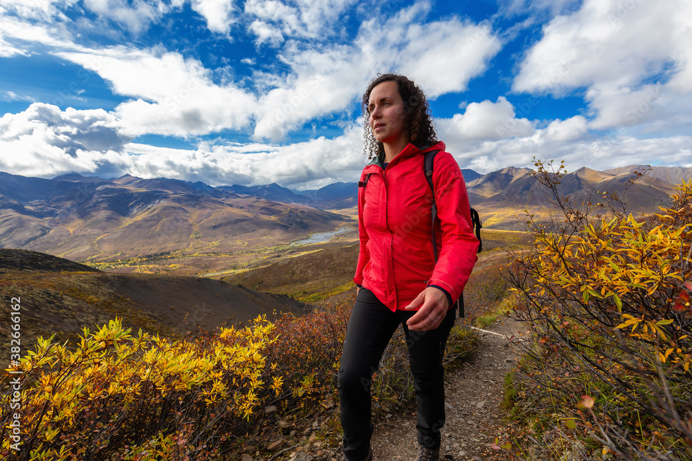 Naklejka premium Scenic View of Woman Hiking on a Cloudy Fall Day in Canadian Nature. Taken in Tombstone Territorial Park, Yukon, Canada.