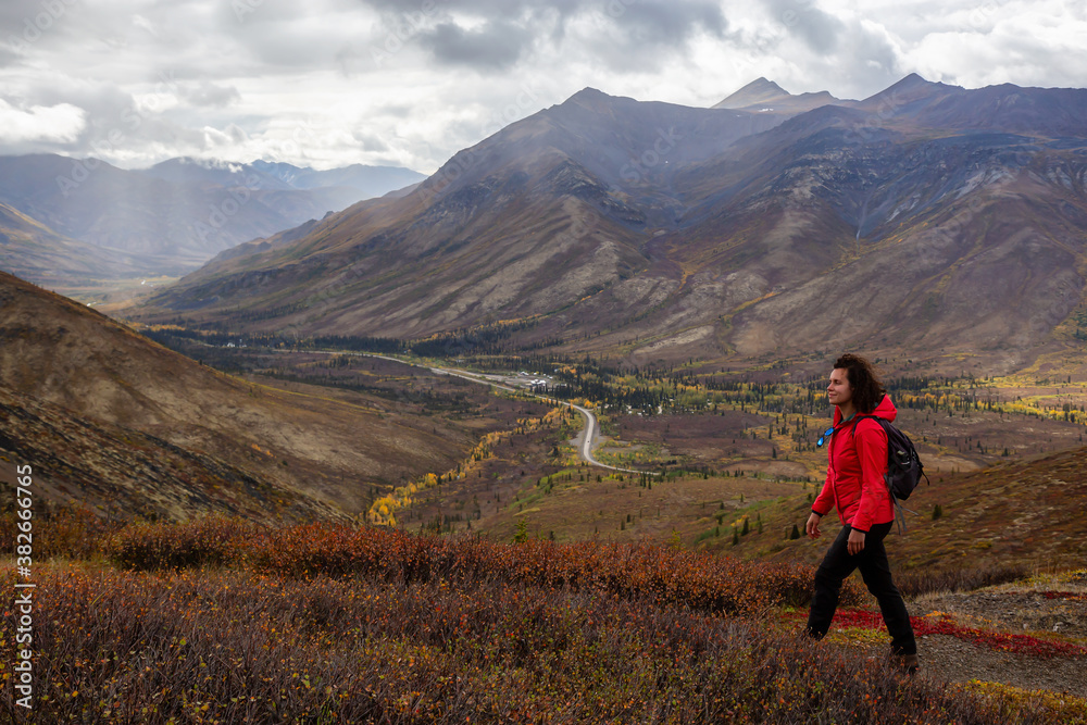 View of Woman Hiking and Scenic Road from Above surrounded by Trees in Canadian Nature. Aerial Shot. Taken in Tombstone Territorial Park, Yukon, Canada.