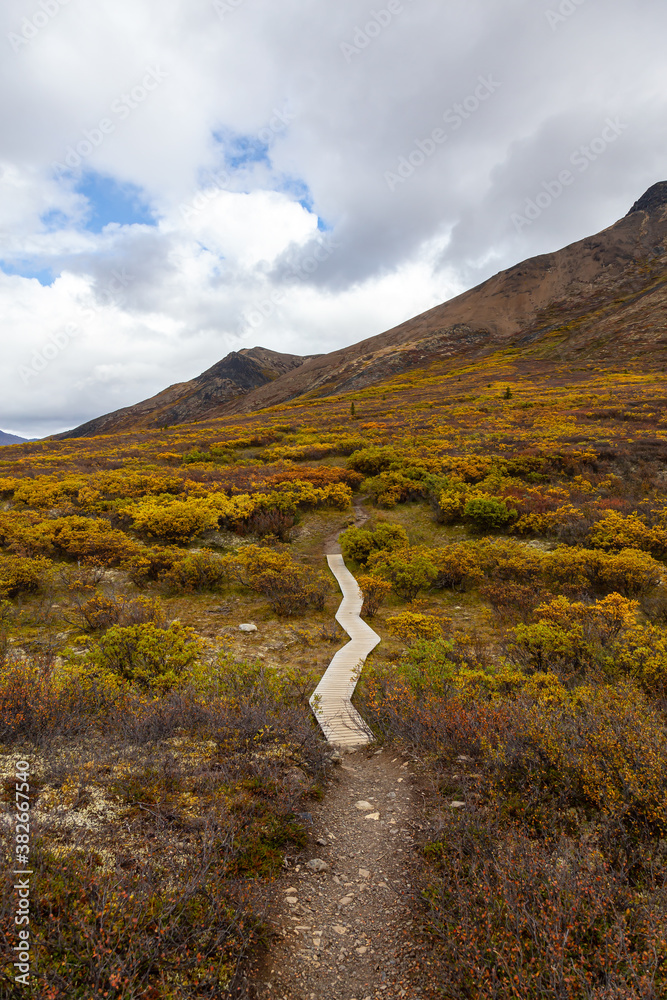 Fototapeta premium Beautiful View of Hiking Trail and Mountains during Fall in Canadian Nature. Taken in Tombstone Territorial Park, Yukon, Canada.