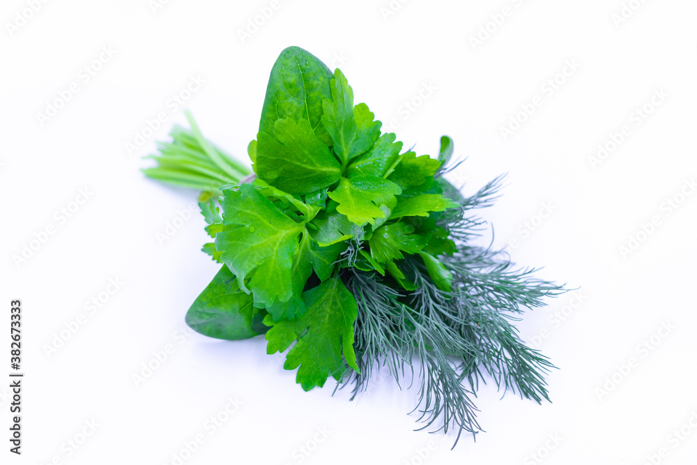 Fototapeta premium A bunch of fresh herbs. Dill, parsley, spinach. White background.