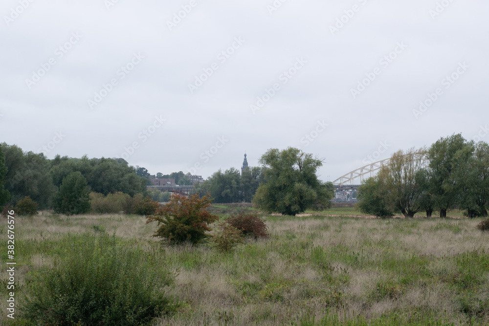 Fototapeta premium Tree standing in Dutch polder landscape