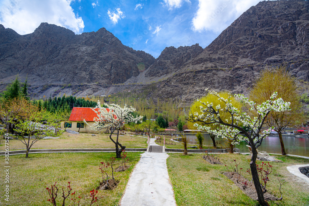 spring landscape photos of cherry blossom ,apricot blossom and spring ...