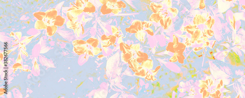 Blue Flora Decoration. Orange Plant Banner. White Female Pattern. Bright Popular Presentation. Pastel Textured Design. Pink Spring Backdrop. Bright Abstract Paper.