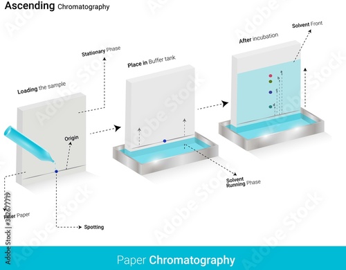 Ascending chromatography schematic diagram. Analysis of Amino acids. paper chromatography technique. Biochemical techniques. 