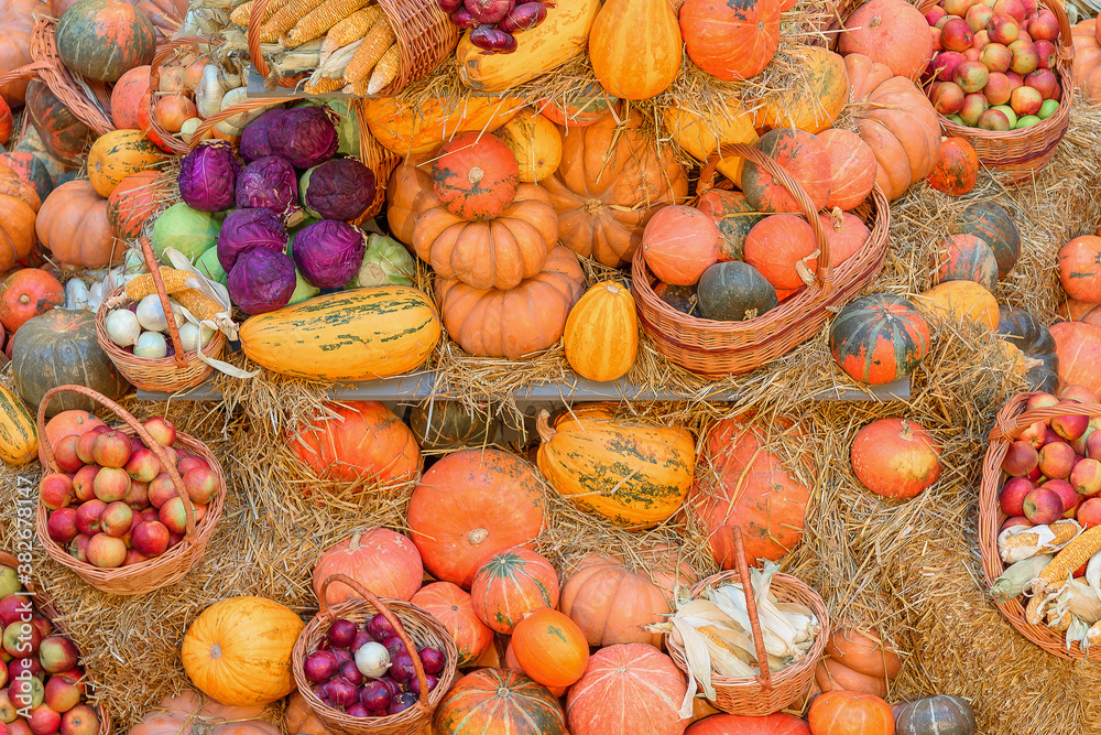Autumn concept with seasonal fruits and vegetables Autumn concept with seasonal fruits and vegetables