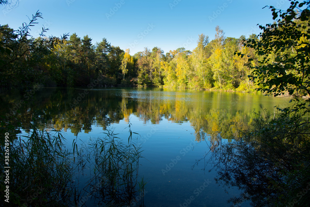 Waldsee bei Marckolsheim im Elsass Waldsee bei Marckolsheim im Elsass