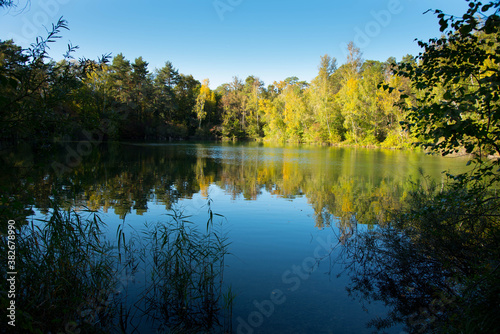 Waldsee bei Marckolsheim im Elsass