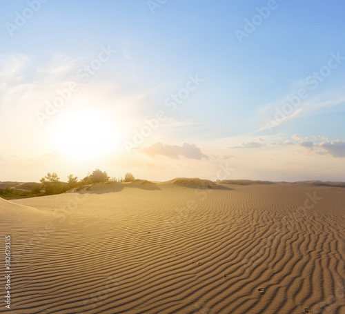 wide sandy desert at the sunset  natural wild background