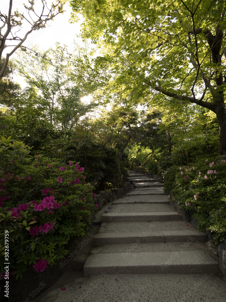 Jardines del Templo Tenryuji, en el barrio de Arashiyama, en Kioto, Japón