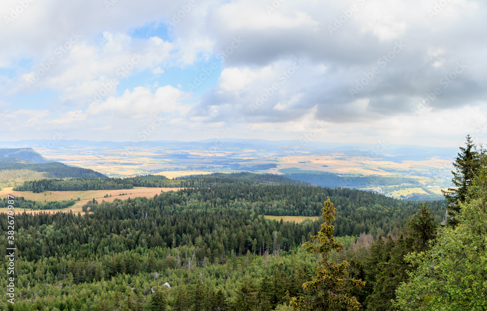 landscape with trees and clouds