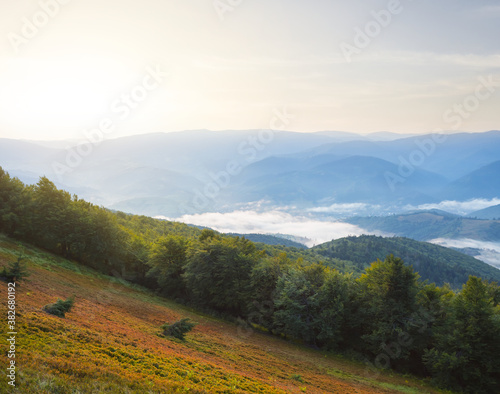 mountain valley in a blue mist at the sunrise  early morning mountain scene