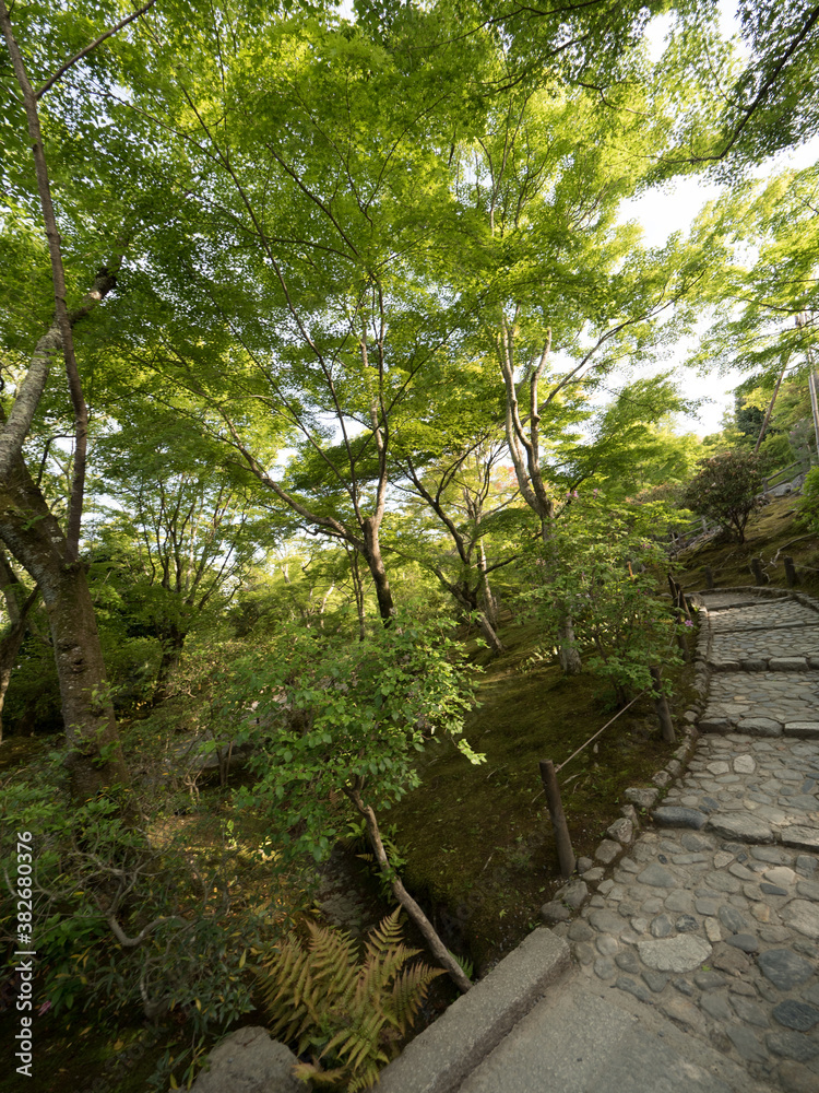 Jardines del Templo Tenryuji, en el barrio de Arashiyama, en Kioto, Japón Jardines del Templo Tenryuji, en el barrio de Arashiyama, en Kioto, Japón