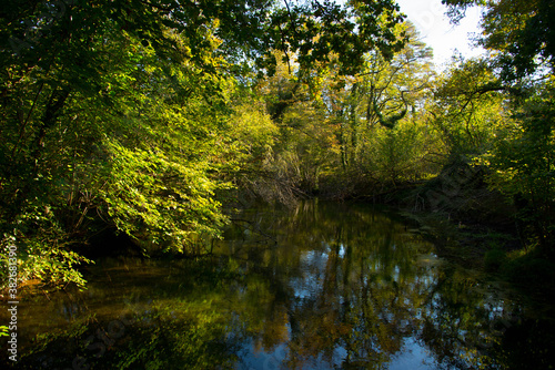 Grand Ried nahe Marckolsheim im Elsass