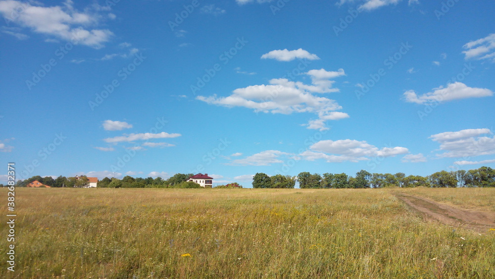 field of wheatlandscape, field, sky, grass, nature, meadow, summer, blue, clouds, rural, green, cloud, agriculture, horizon, land, hill, farm, plant, scene, country, view, countryside, beautiful, autu field of wheatlandscape, field, sky, grass, nature, meadow, summer, blue, clouds, rural, green, cloud, agriculture, horizon, land, hill, farm, plant, scene, country, view, countryside, beautiful, autu