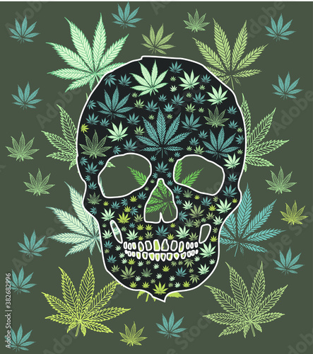 marijuana and skull graphic design vector art