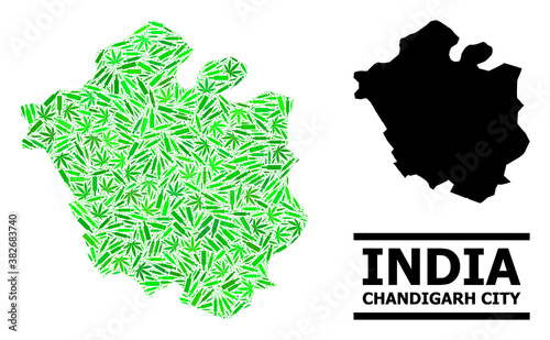 Addiction mosaic and solid map of Chandigarh City. Vector map of Chandigarh City is organized from random syringes, cannabis leaves and alcoholic bottles.