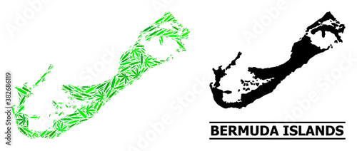 Drugs mosaic and usual map of Bermuda Islands. Vector map of Bermuda Islands is created of randomized inoculation icons, herb and alcoholic bottles.