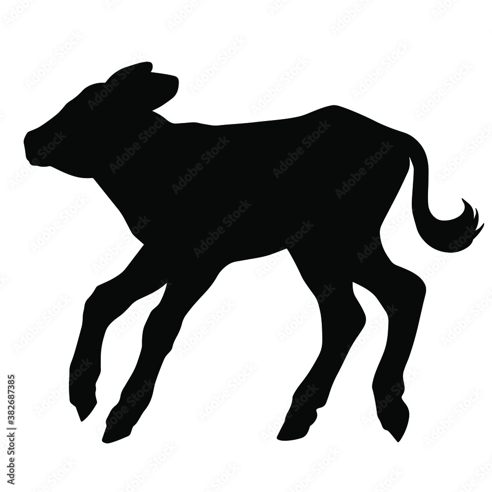 Obraz premium Hand drawn vector silhouette of standing calf isolated on white background. Black and white stock illustration of baby cow.