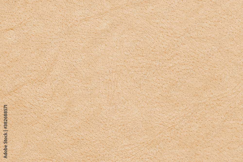 Fototapeta premium Vintage and old looking paper background. Retro book cover. Ancient book page.