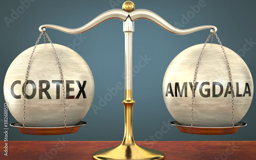 cortex and amygdala staying in balance - pictured as a metal scale with weights and labels cortex and amygdala to symbolize balance and symmetry of those concepts, 3d illustration