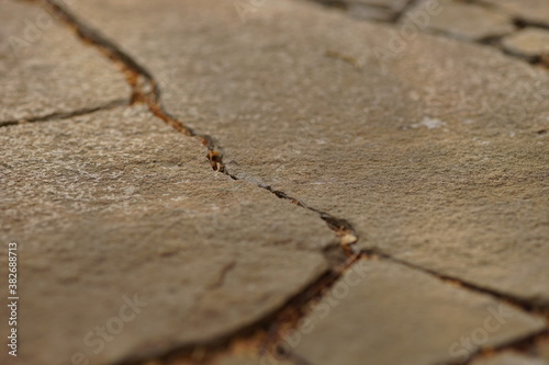 Brown wild stone road or pavement closeup in sunny day