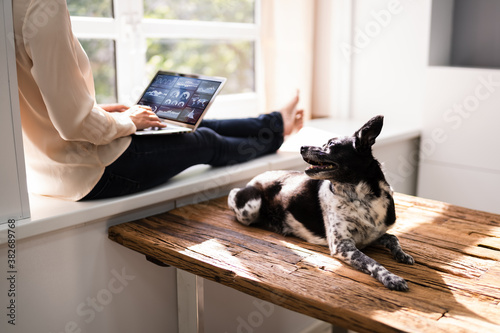 Woman Using Business Laptop Computer With Dog