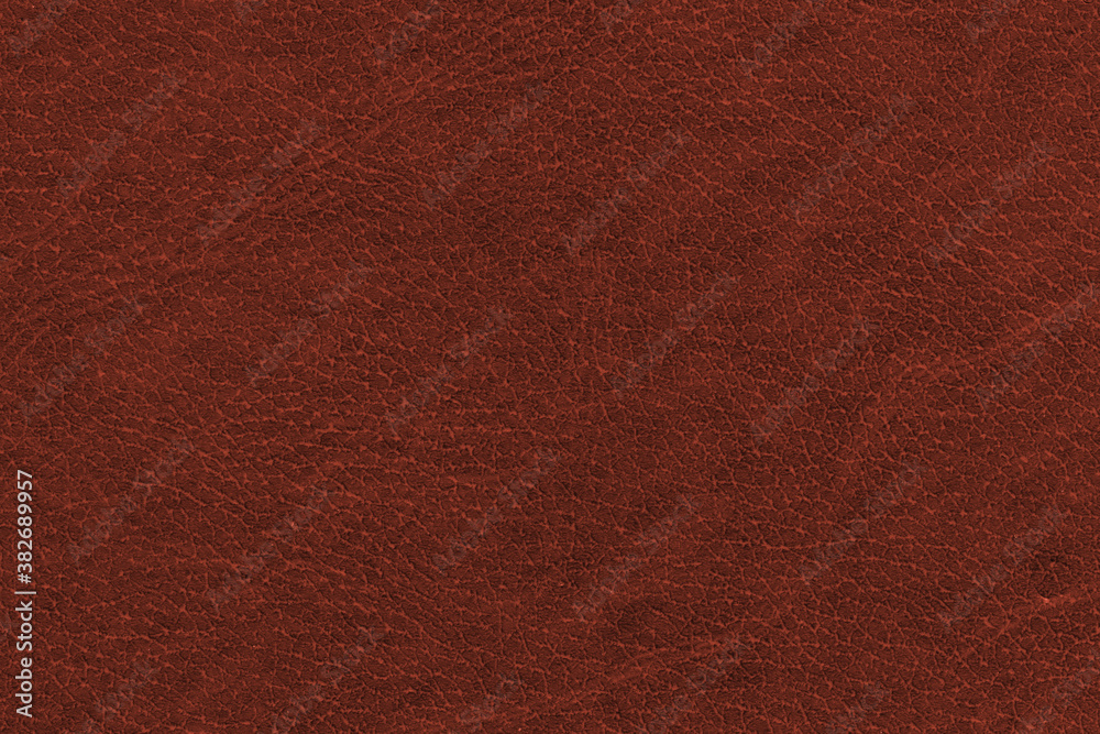 Fototapeta premium Vintage and old looking paper background. Retro book cover. Ancient book page.