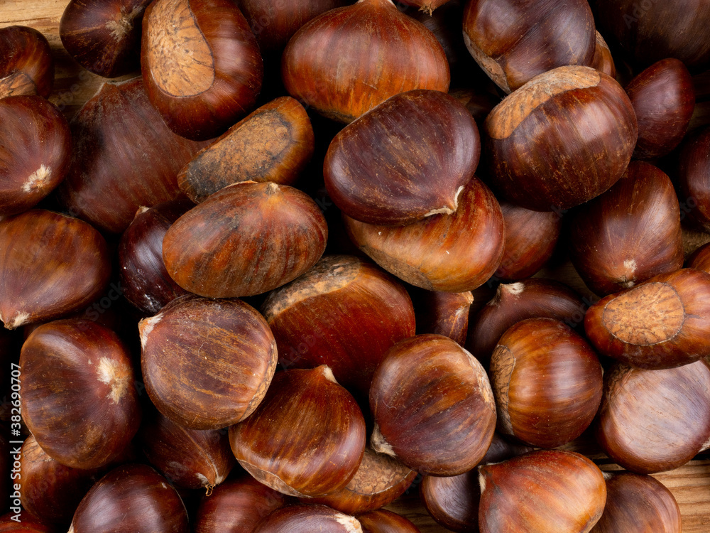 Edelkastanien im Herbst Edelkastanien im Herbst