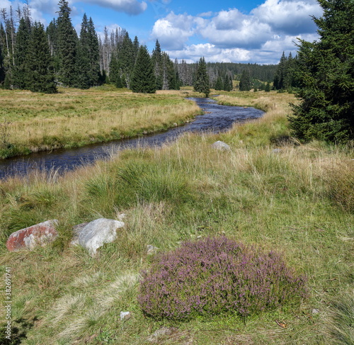 River meandering at a mountain meadow in Sumava National Park