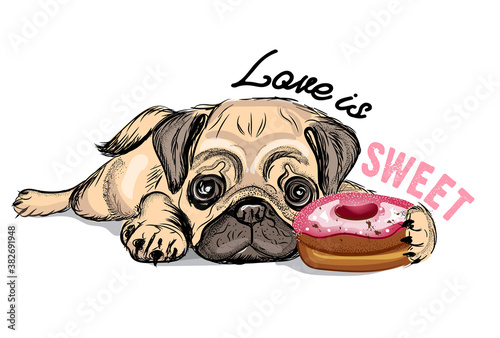 puppy Pug with a pink donut. Love is sweet - lettering quote. Humor poster, t-shirt composition, hand drawn style print. Vector illustration.