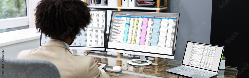 Obraz premium African American Analyzing Spreadsheet Data