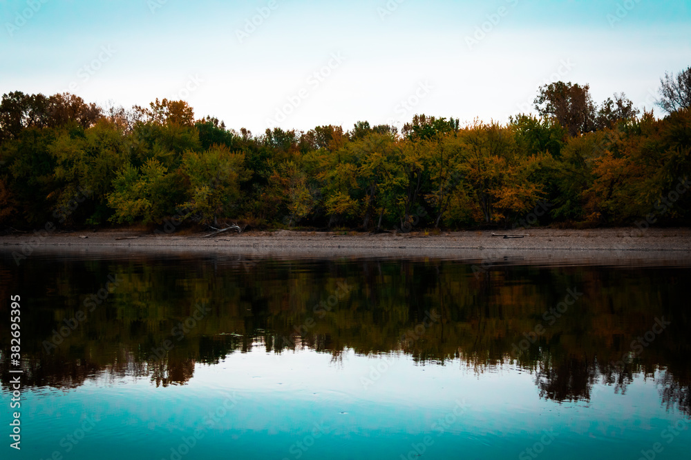 reflection of trees in water reflection of trees in water