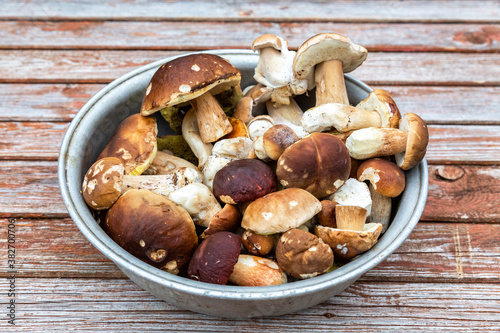 Bowl with porcini mushrooms on a wooden table