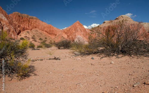 Desert landscape. View of the sand  red sandstone and rocky formations  hills  desert shrubs and bushes under a blue sky. 