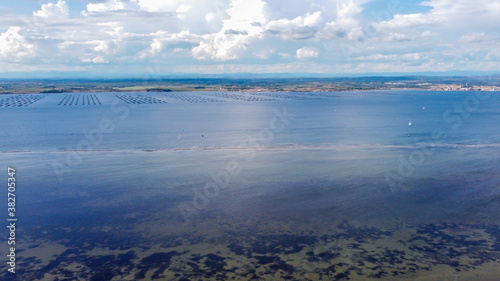 Oyster culture in the pond of Thau near sete in the South of France