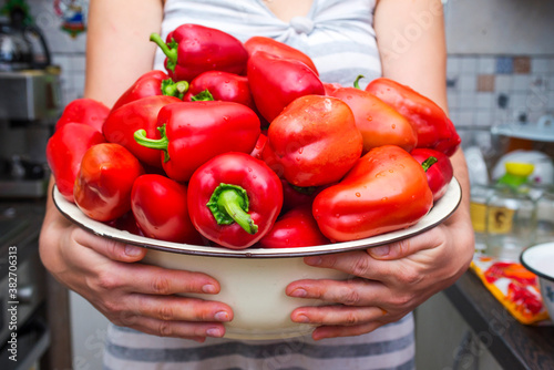 Woman is holding huge bowl with bell peppers harvest. Fresh vegetables in a bowl