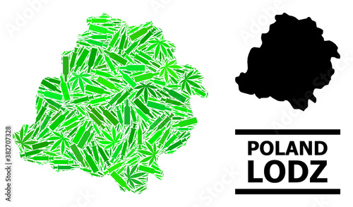 Drugs mosaic and usual map of Lodz Province. Vector map of Lodz Province is made with randomized inoculation icons, narcotic and alcohol bottles.