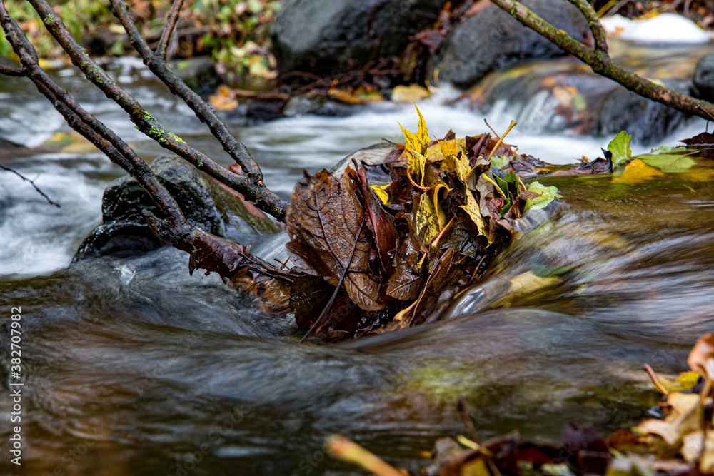 A fallen colored leaves in the creek with water cascade, close up. The detailed look at rapids in the autumn river. A fallen colored leaves in the creek with water cascade, close up. The detailed look at rapids in the autumn river.